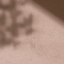 평촌범계연세바로걷는의원 이미지