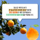 대구장터 이미지