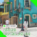 오키나와 북부 버스투어 최저가 예약 뚜벅이 여행엔 선택아닌 필수