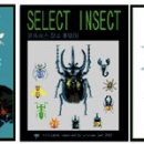 엑스크로스넷 이미지