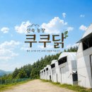 지안축산물 - 송파구 동남로18길 20 | 쿠쿠닭농장 난각번호 1번 유정란이 특별한 이유, 산속 방사농장을 다녀왔어요
