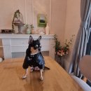 스테이숨 이미지