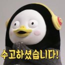 노원고등학교 이미지