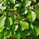 계양산 누리길 이미지