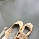 성인 토슈즈 | 성인 취미발레 토슈즈 첫 수업 후기..