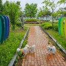 강하생활체육공원 이미지