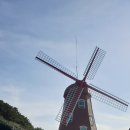 매직 펫 살롱 이미지