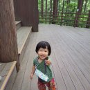 아이세상유치원 이미지