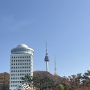 서울하늘숲유치원 | [서울여행]남산 벡범광장 하늘숲길 코스 후기 서울 단풍 명소