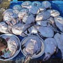 삼척번개시장 이미지