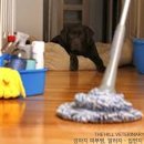 압구정동물의료센터 이미지