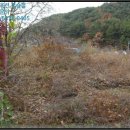 완월동282 이미지