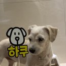 공방 하쿠로