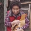 스시우즈