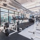 빌리버짐 이미지