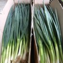 석수농장2 이미지