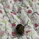 굿모닝토토 이미지