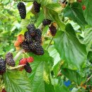 (주)오디 이미지