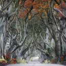 포토샵&그래픽 이미지