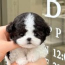 애현1길 이미지