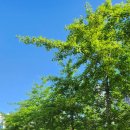 장원손칼국수 - 강북구 한천로129길 43 | 장원손칼국수