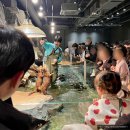 아쿠아 커피연구소 | 서울근교 겨울방학 실내 체험 가평 신비동물원 동물먹이주기