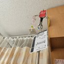 11545-10-25-29 | 대전 무지외반증 수술후기(8/25화~8/29토)