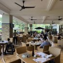 오션바이브 | 샹그릴라 라사리아 조식ㅣ가든윙 Coffe Terrace &amp; 오션윙 Oceano 비교후기ㅣ코타키나발루 숙소 리조트 추천