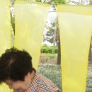 용산할머니경로당 이미지