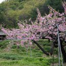 사곡2리 이미지