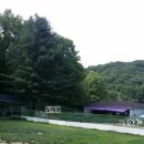 oh my dog(오마이독) 이미지