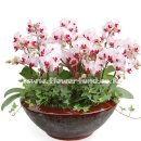 만도플라자(임학점) 이미지