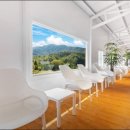 밸런스독 애견펜션 이미지