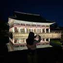 경복궁 야간개장 시간 관람코스 주차장 사전예매 야경데이트