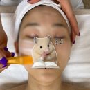 마곡 피부관리 윤곽관리 림프순환 전문 더나다움 재방문 후기