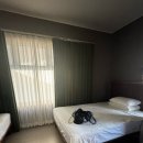 레스트44 이미지