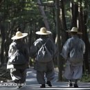 수좌회, 29일부터 총무원서 정진 “자승스님 퇴임약속 이행 촉구 뜻” 이미지