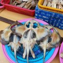 대일상회