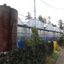 귤하우스 이미지