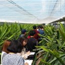 고흥군농업기술센터 이미지