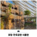 푸른어린이공원 | 포항 명소 실내 가볼만한곳 환호공원 식물원 포토존 후기