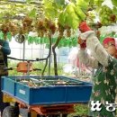 김옥성농장 이미지