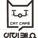 고양이카페 아이캣유 이미지