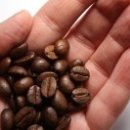 서부재활체육센터 이미지