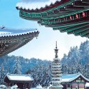 [2.26(화)] 커피향과 겨울바다 그리고 맛 [전나무숲길, 안목항 커피거리, 주문진 항]종료 이미지