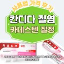 칸디다 질염 증상 치료 약 원인 (카네스텐 질정 사용법 가격 후기 약국 연고 크림)