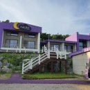 박지마을호텔, 식당 이미지