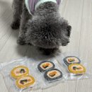 [광주|계림동] 수제간식부터 각종 용품까지 다 있는 24시 무인 애견용품점 위글리펫