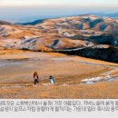 진태목장 국민일보
