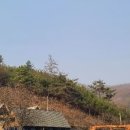 나는숲이다 이미지